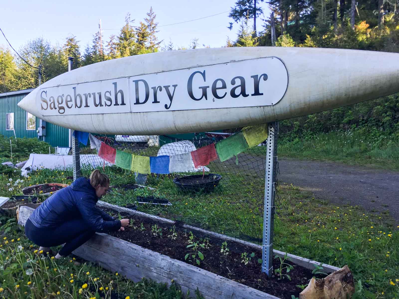 Gardening at the Sagebrush Dry Gear shop in Kake Alaska